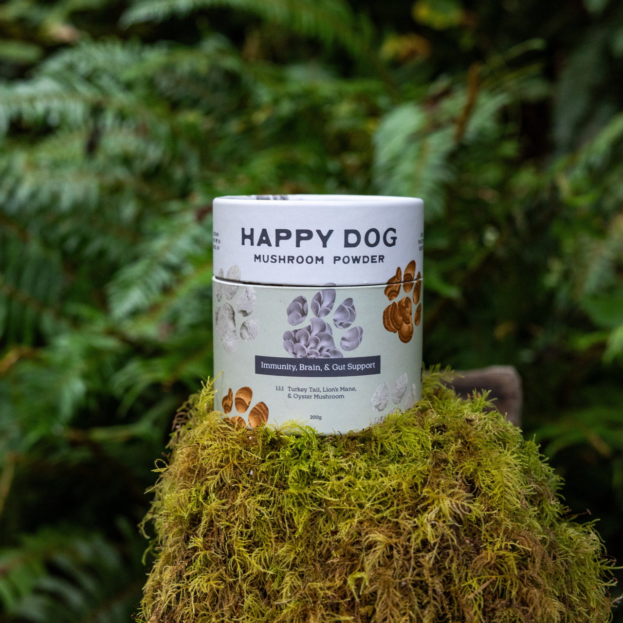 How to Introduce Mushrooms into Your Dog’s Routine Safely and Effectively