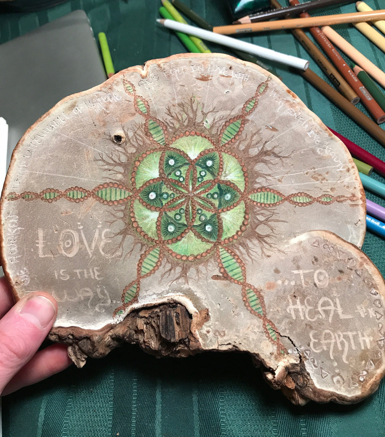 A Holistic Approach to Health: The Way of the Mushroom