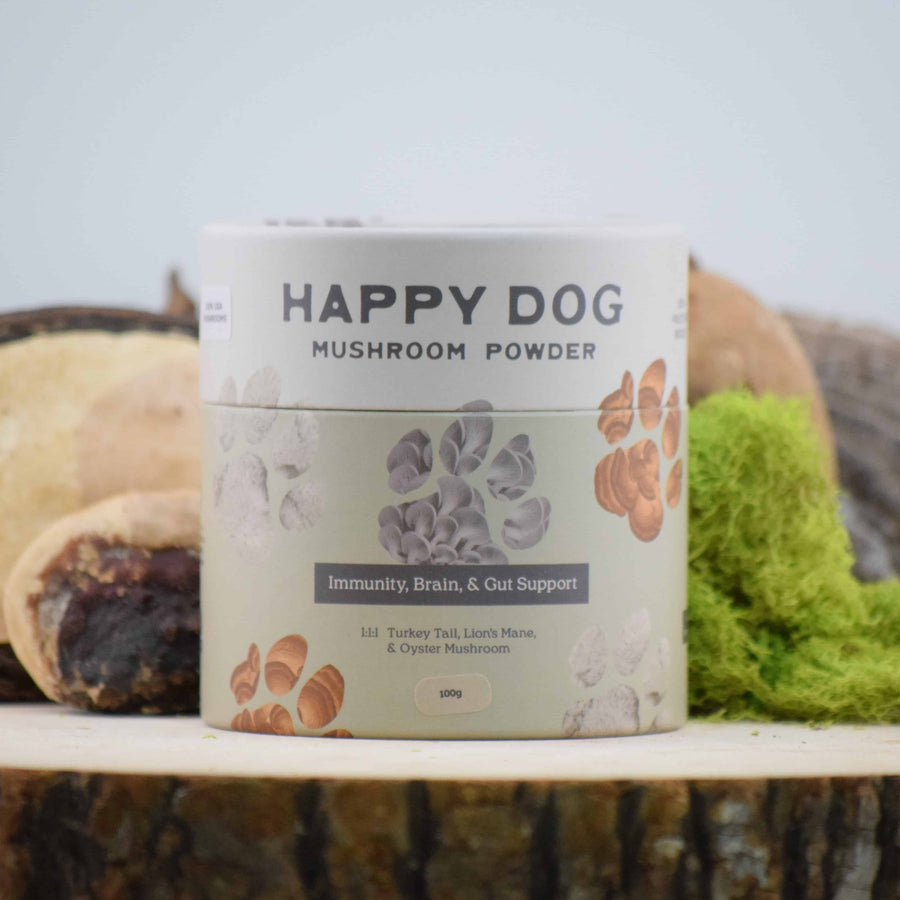 Happy Dog Mushroom Powder tub on a log stump with moss and forest elements.